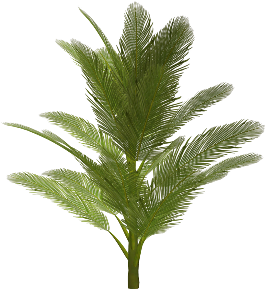 Vegetacao Photoshop (858x930)