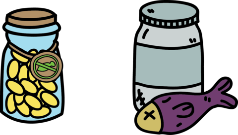 Algae Oil Vs Fish Oil - Algae (480x274)