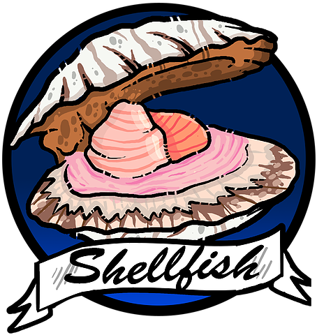 Valsop Shell Fishscallops - Valsop Shell Fishscallops (529x520)