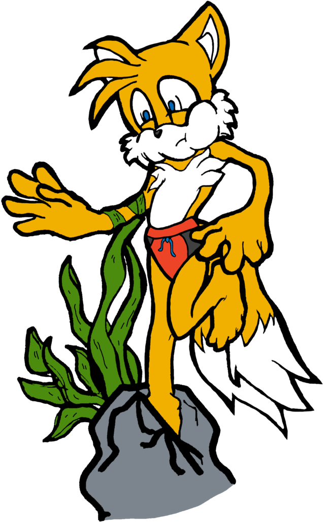 Tails Struggles Coloured - Drawing (730x1095)