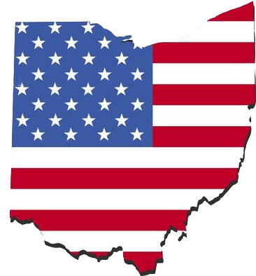 Usa Flag (450x485)