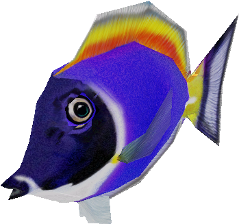 14963 - Pomacanthidae (750x650)