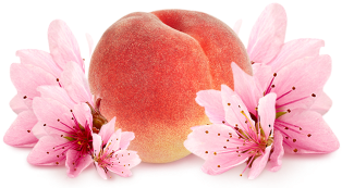 Top Note - Cherry Blossom (400x400)