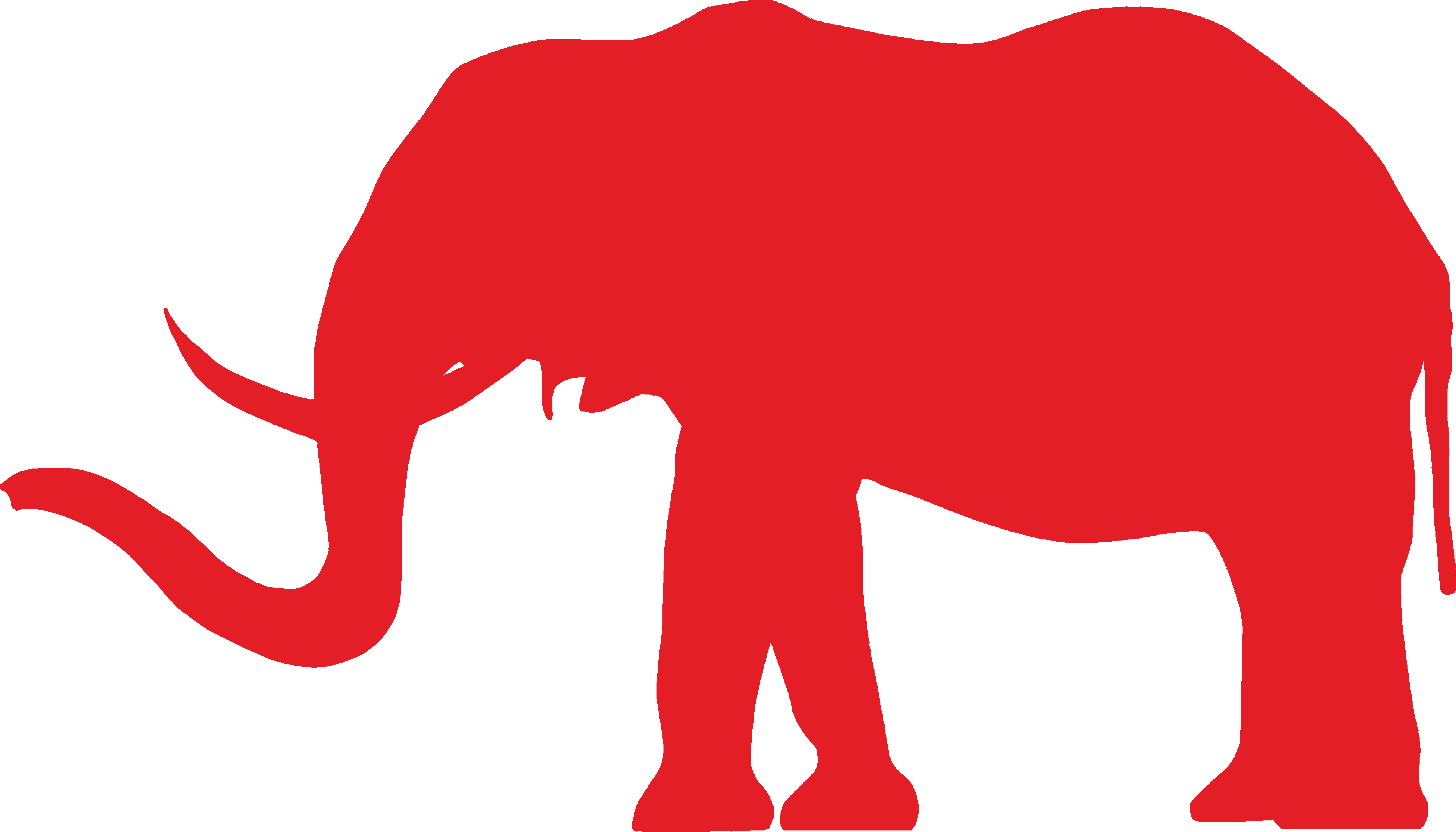 Conservative Elephant - Conservative Elephant (9963x5788)