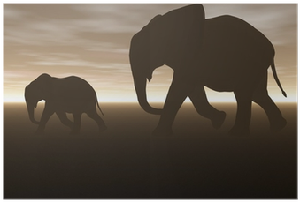 Brown Elephant Shower Curtain (400x400)