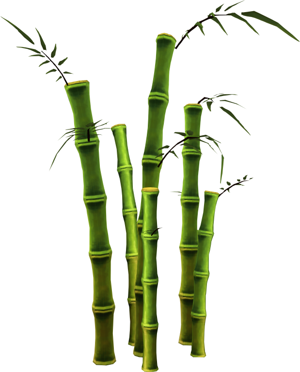 Bamboo Png (619x767)