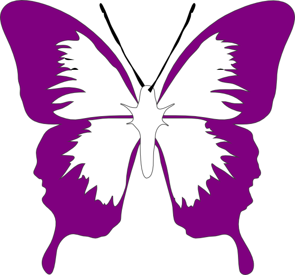 Butterfly Clip Art (600x559)