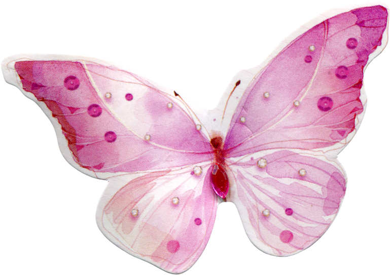 Butterfly Clip Art - Розовая Бабочка Пнг (800x571)