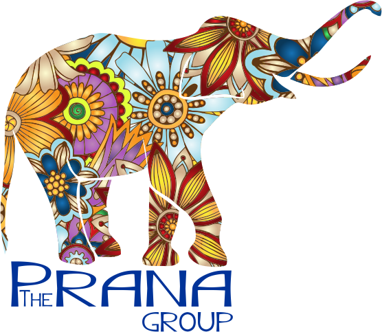 Prana Logo - Prana (556x483)