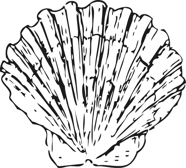 Bad - Black And White Shell (600x544)