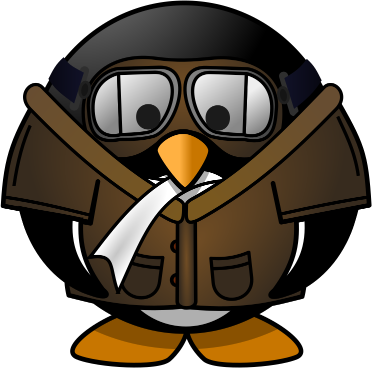 Medium Image - Penguin Pilot Clipart (782x800)