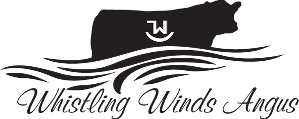 Www - Whistlingwindsangus - Com - Calligraphy (592x237)