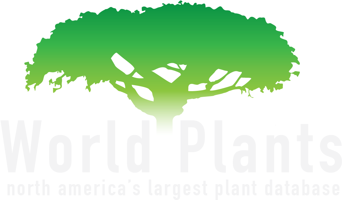 Search The World - Logo (1121x646)