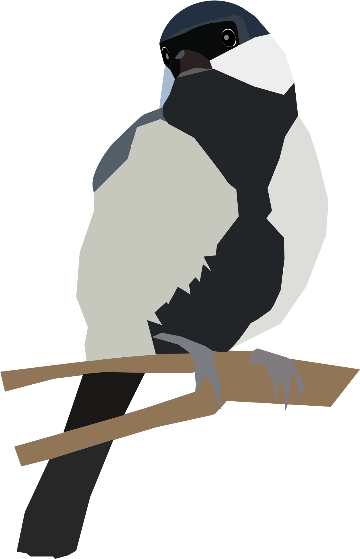 Big Image - Penguin (1600x2400)