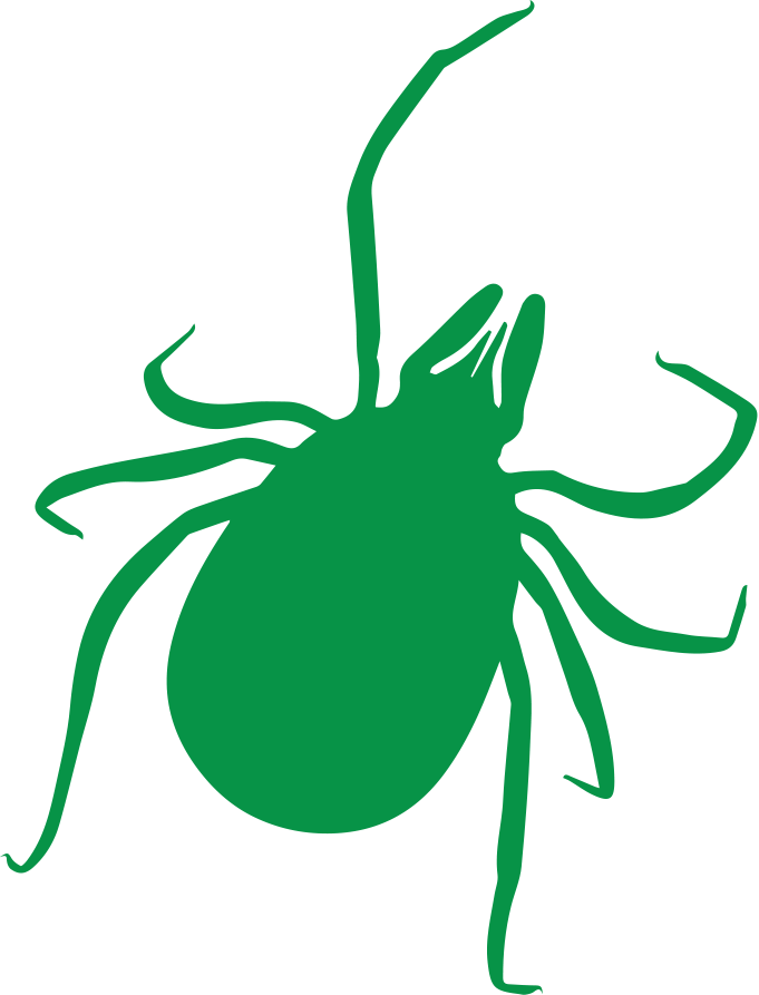 Tick - Tick Model 3d (681x893)