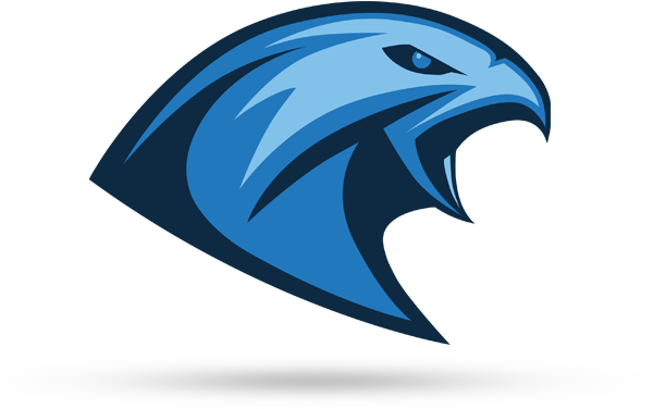 Tychy Falcons - Tychy Falcons (600x600)