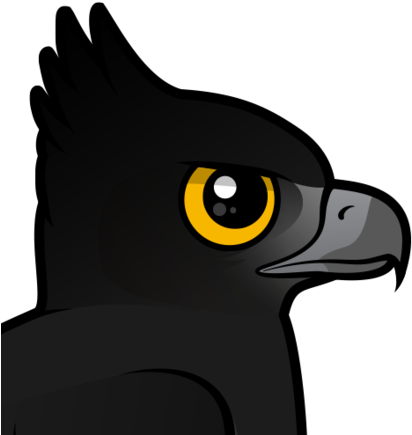 About The Black Hawk-eagle - Black Hawk-eagle (440x440)