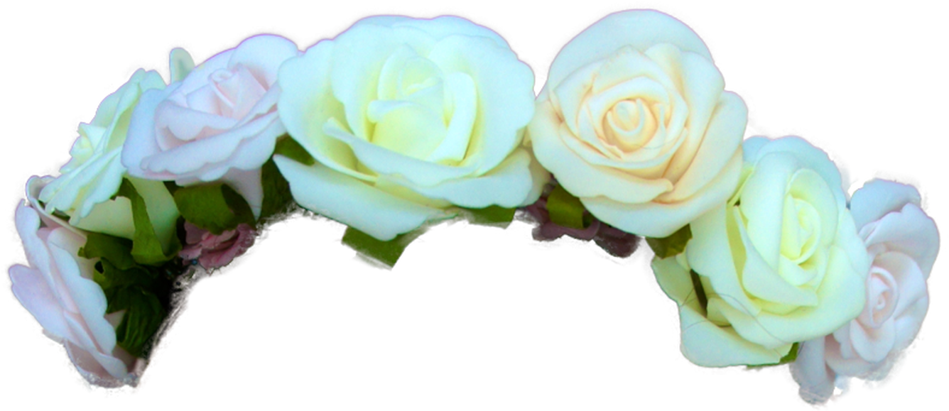 Flower Crown Png (1368x855)