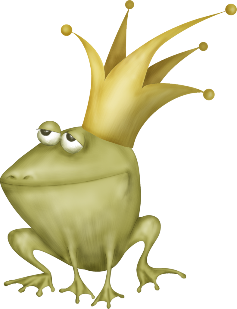 ○••°‿✿⁀frogs‿✿⁀°••○ - Cane Toad (787x1024)