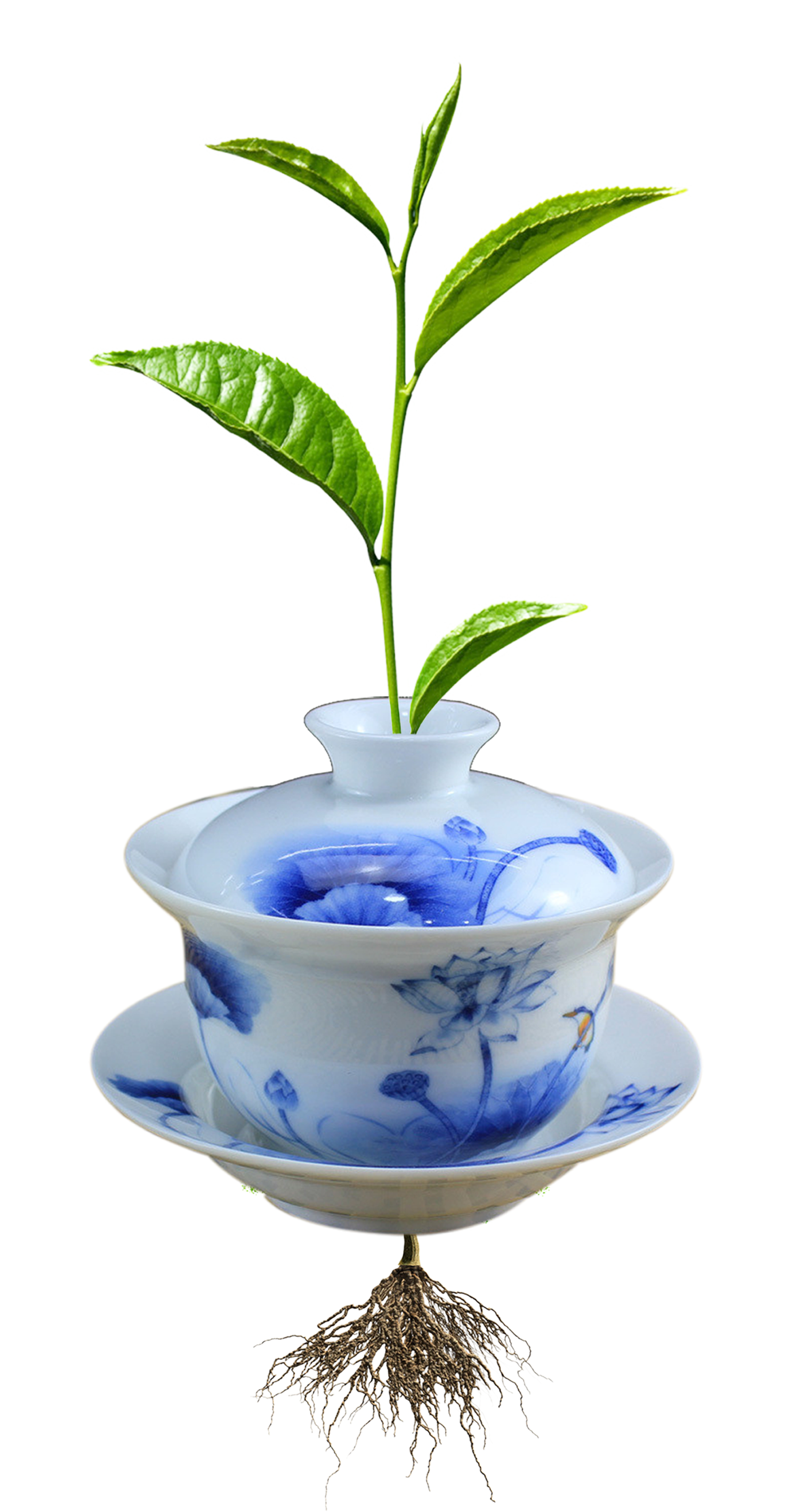 Mug Teacup Ceramic Computer File - Mug Teacup Ceramic Computer File (3508x4961)