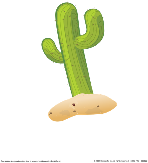 Book Fair Schedule - Hedgehog Cactus (541x700)
