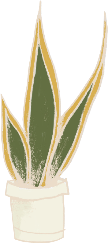Agave (650x878)