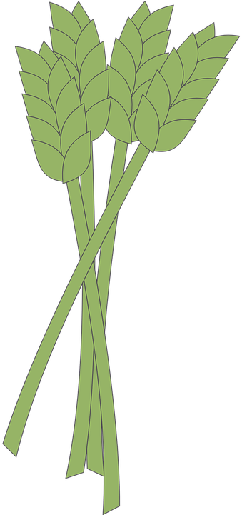 Crop Farm Cliparts - Wheat (360x720)