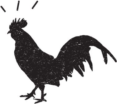 Rooster - Rooster (1000x533)