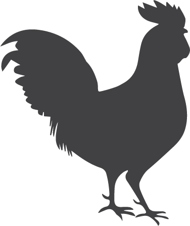 Connect - Rooster (376x447)