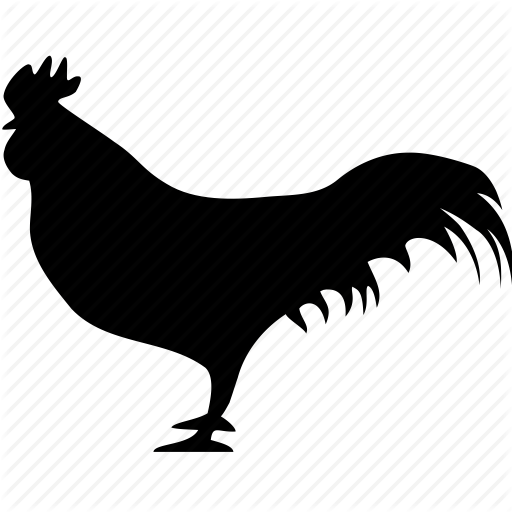 Rooster Icon - Icons Rooster (512x512)