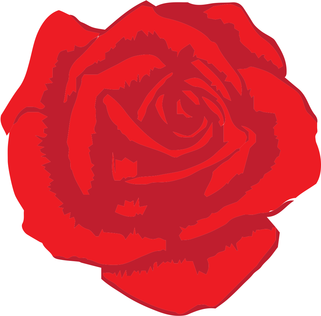 Garden Roses (1102x1079)