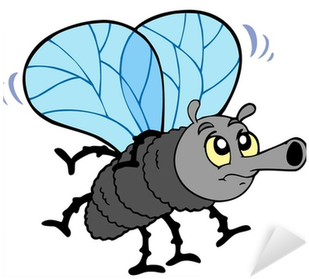 Cartoon Fly (400x400)