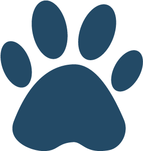 Veterinarians - Gato (501x500)