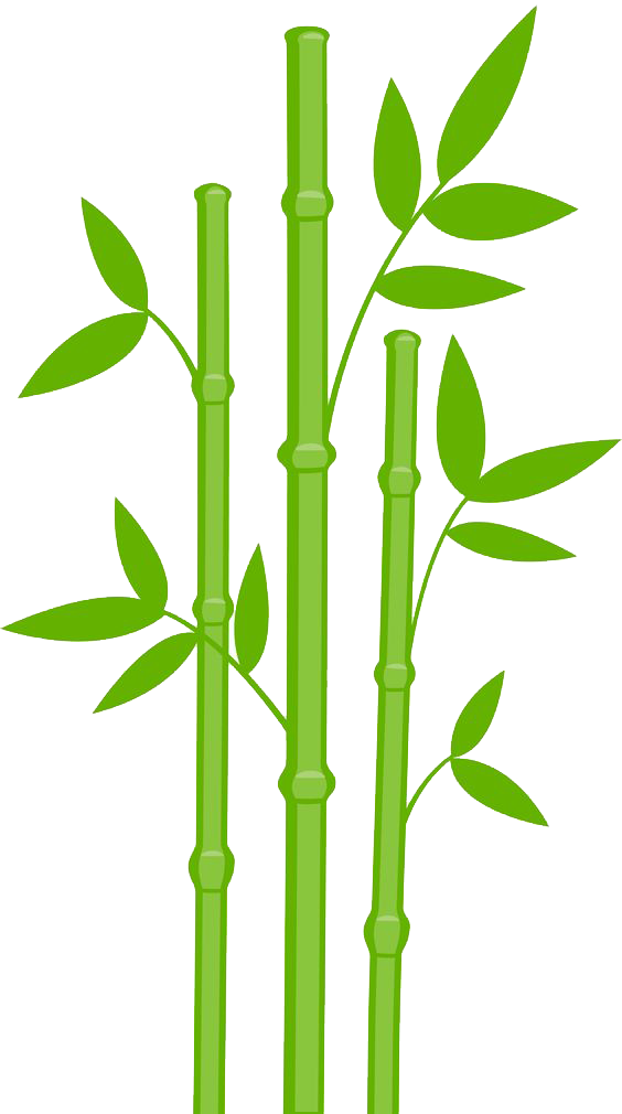 Bamboo Transparent (564x1010)