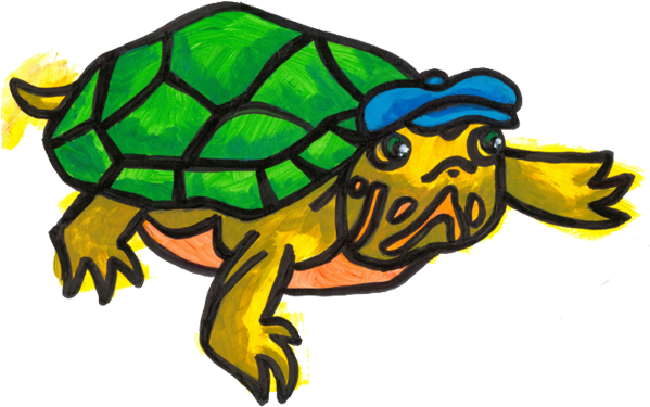 Brave Ulysses - Box Turtle (600x637)