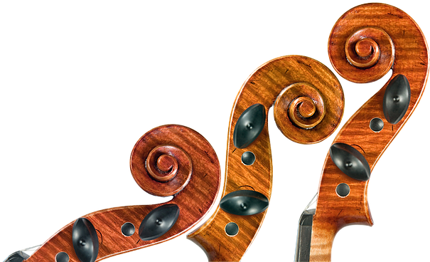 Montero Violins (604x376)