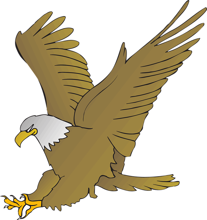 Animated Picture Of An Eagle (677x720)