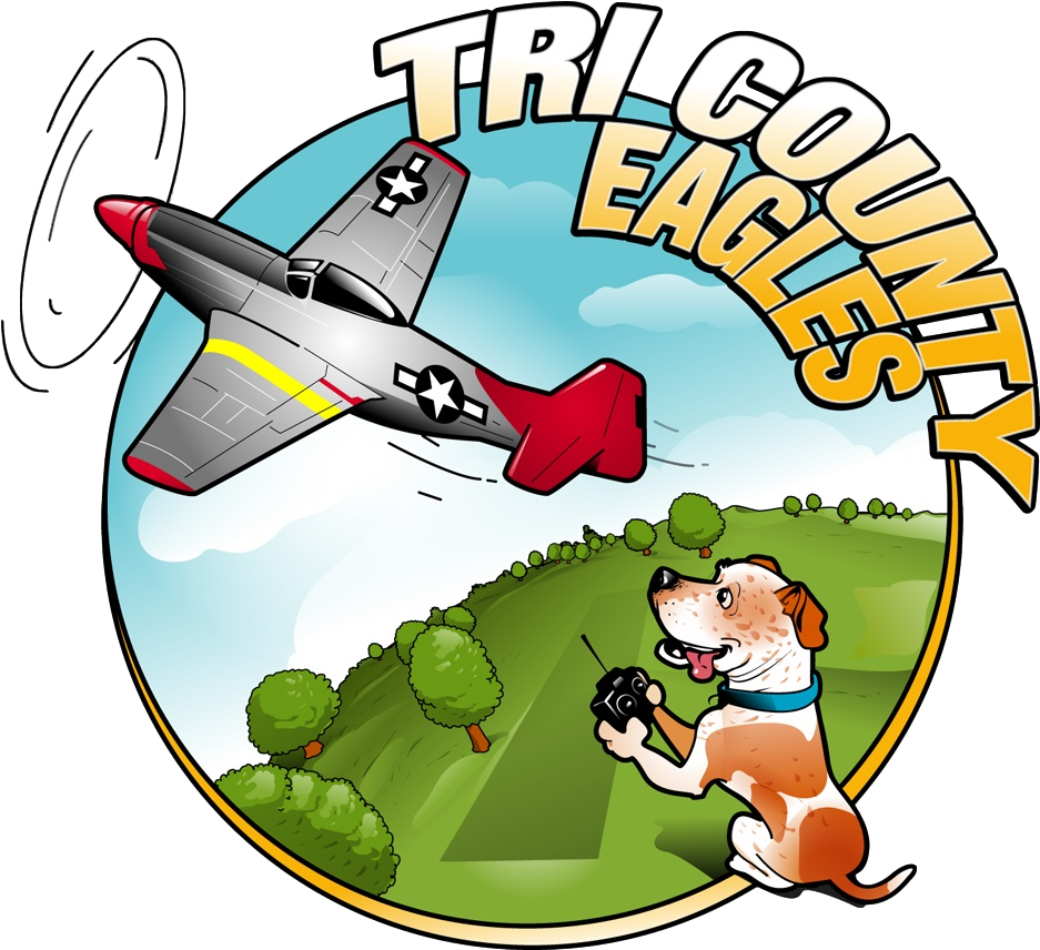 Tri County Eagles - Cartoon (1000x923)