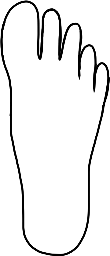 Clip Art By Carrie Teaching First - Shadow (427x871)