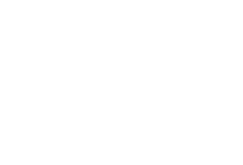 Sorel Logo (499x338)