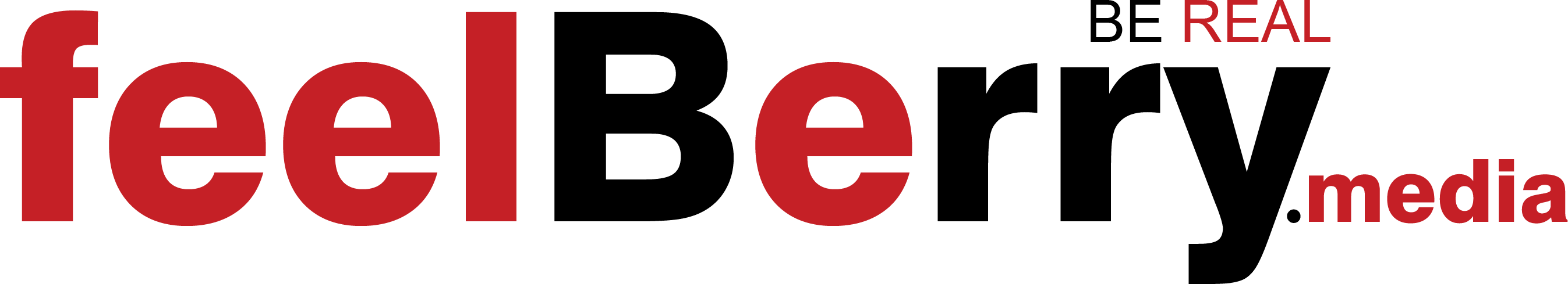 Graphic Design - Effectory Logo (2693x489)