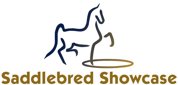 Saddlebredshowcase - Saddlebredshowcase (600x290)