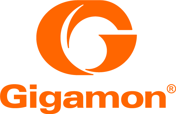 Partners - Gigamon (569x371)