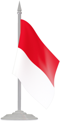 Flag With Flagpole - Flag (640x480)