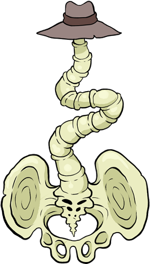 Spine - Spine (326x560)