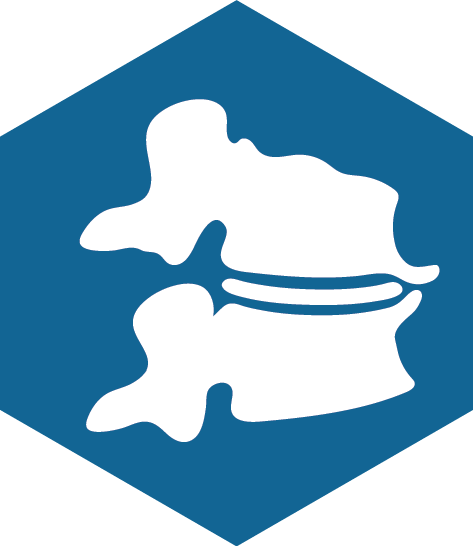 Spinal Bone Spurs - Law Enforcement System Icon (473x546)
