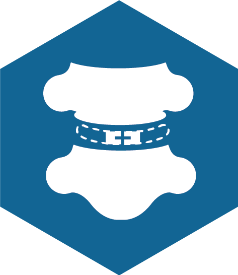 Cervical Disc Replacement - Education Icon Blue (473x546)