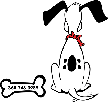 Pet Sitting - Pet Sitting (420x395)