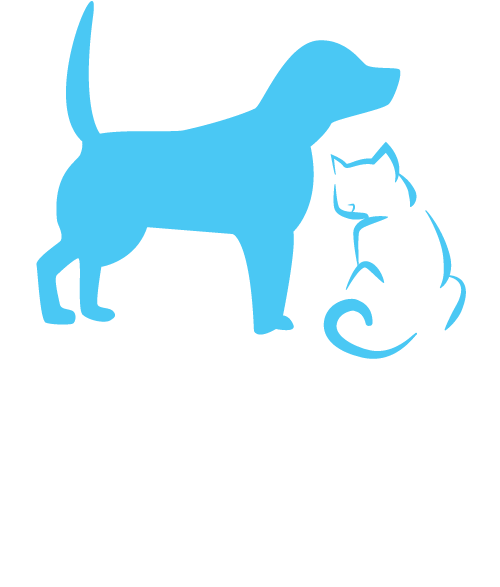 See Our Services - Dog (501x637)