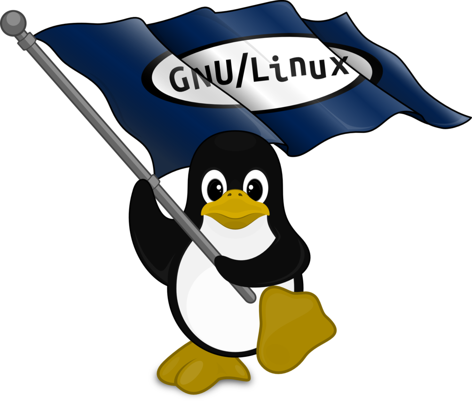 To Throw More Light On Why Linux Has Superior Internet - Linux Flag (970x824)